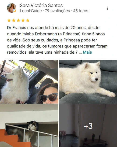 Avaliação real de tutor sobre a Pet Ville