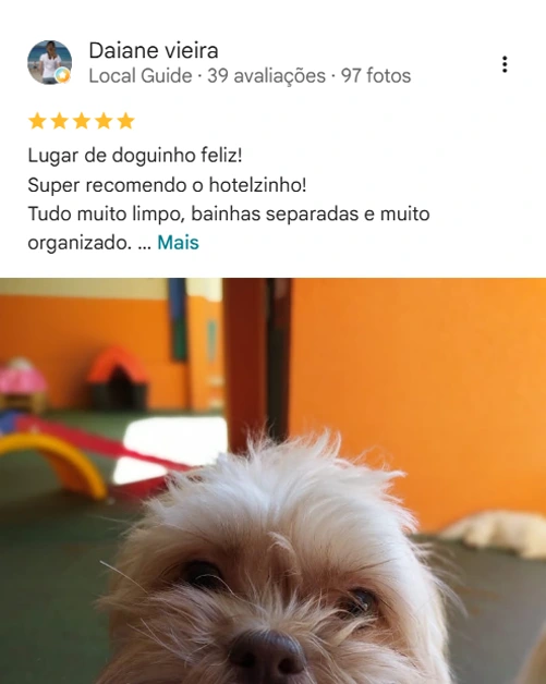Avaliação real de tutor sobre a Pet Ville