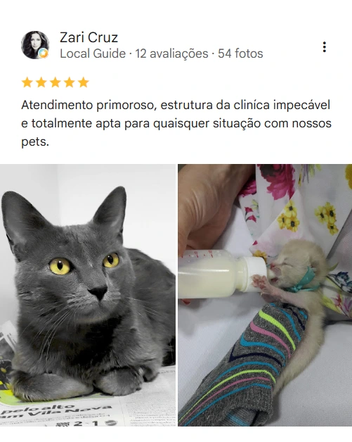 Avaliação real de tutor sobre a Pet Ville