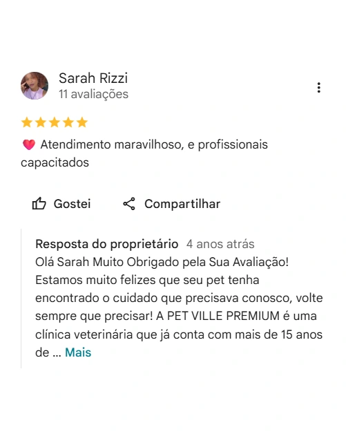 Avaliação real de tutor sobre a Pet Ville
